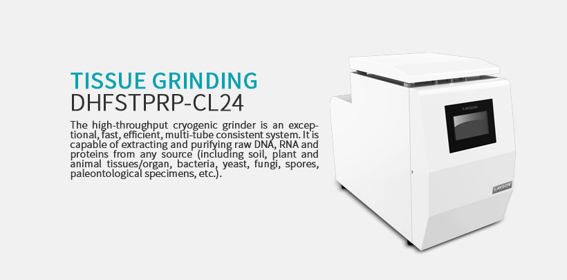 Tissue Grinding DHFSTPRP-CL48